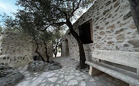 Roba Degli Ulivi