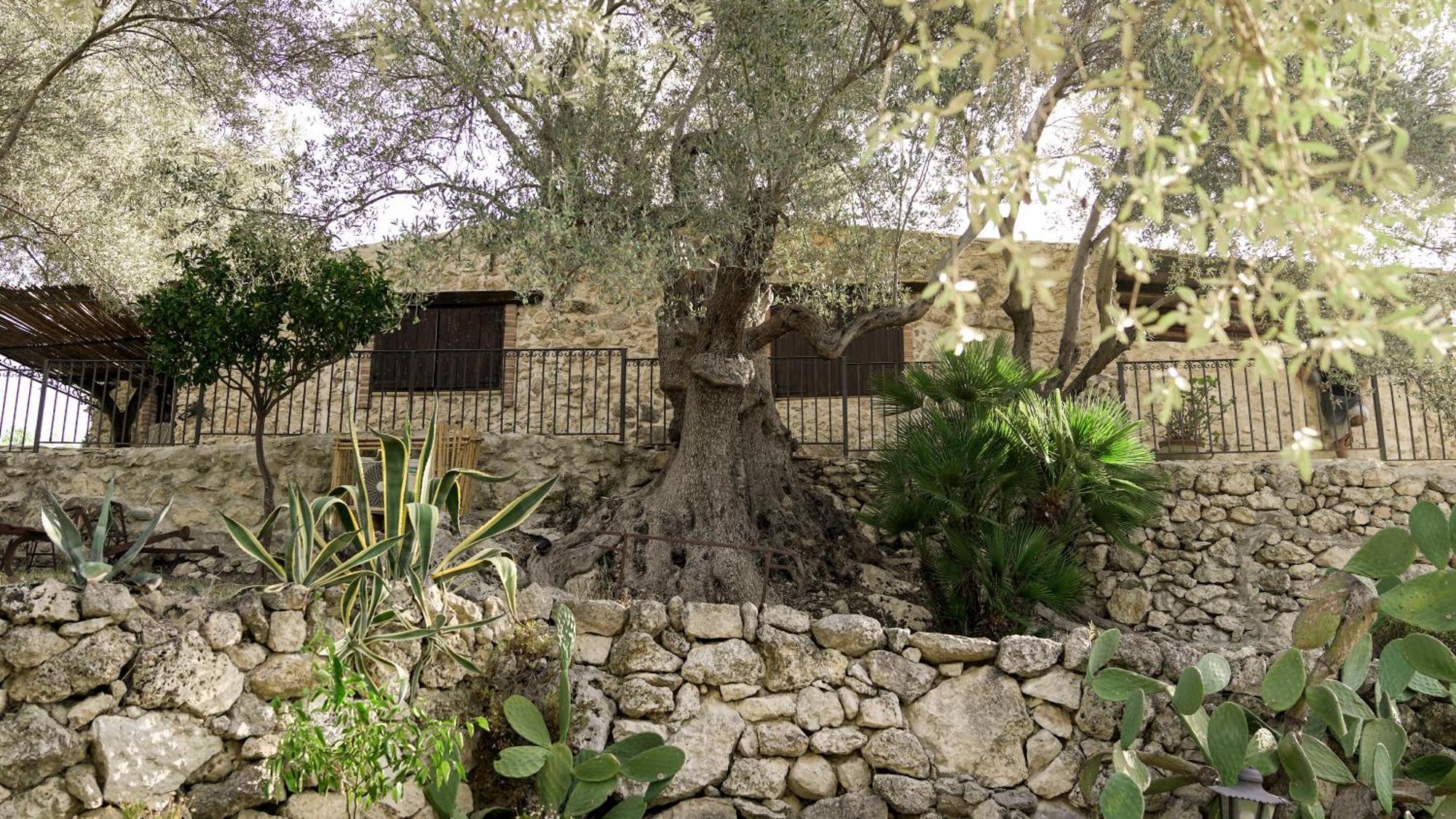 Roba Degli Ulivi Bed & Breakfast Agrigento Exterior photo