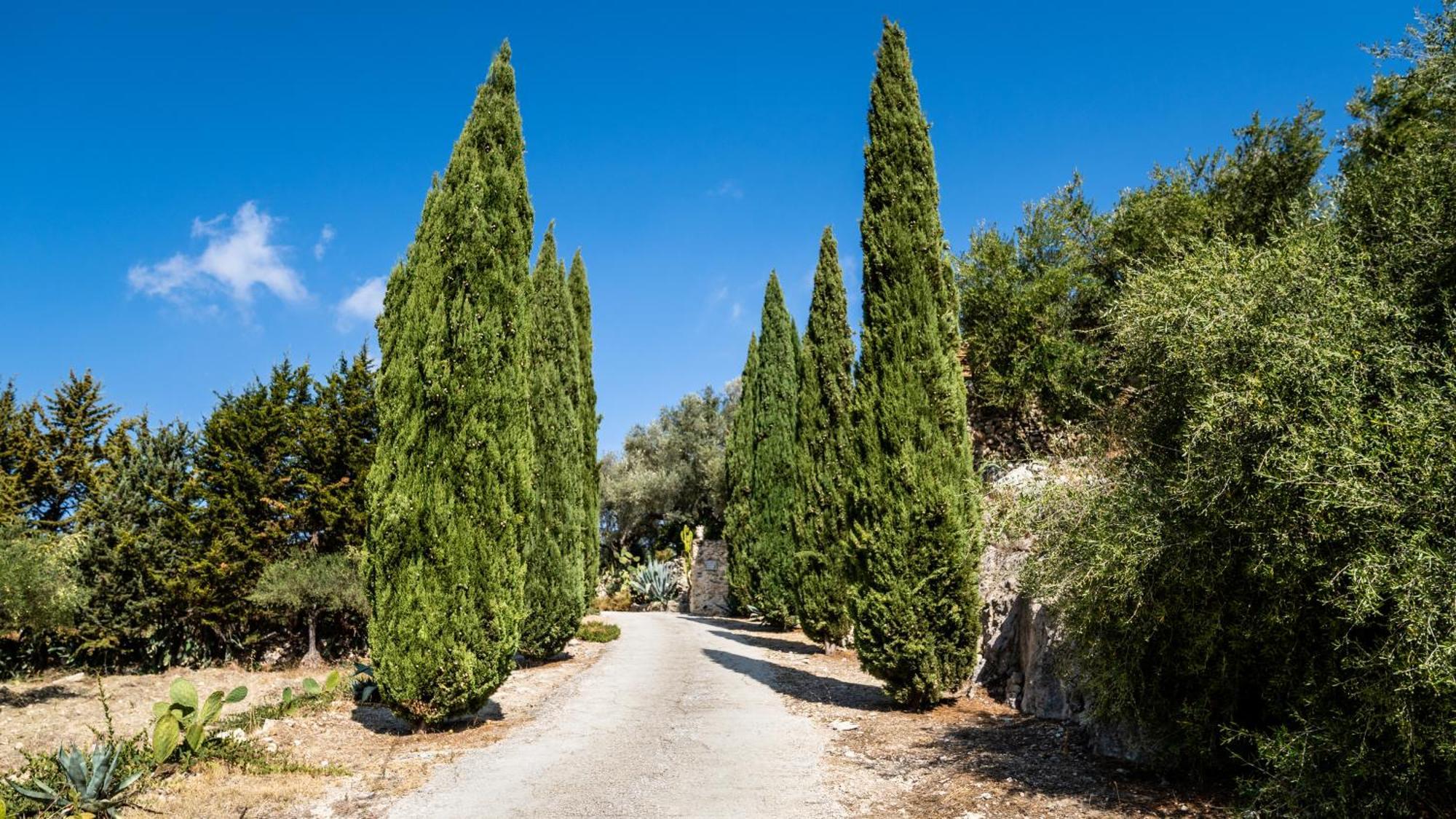 Roba Degli Ulivi Bed & Breakfast Agrigento Exterior photo