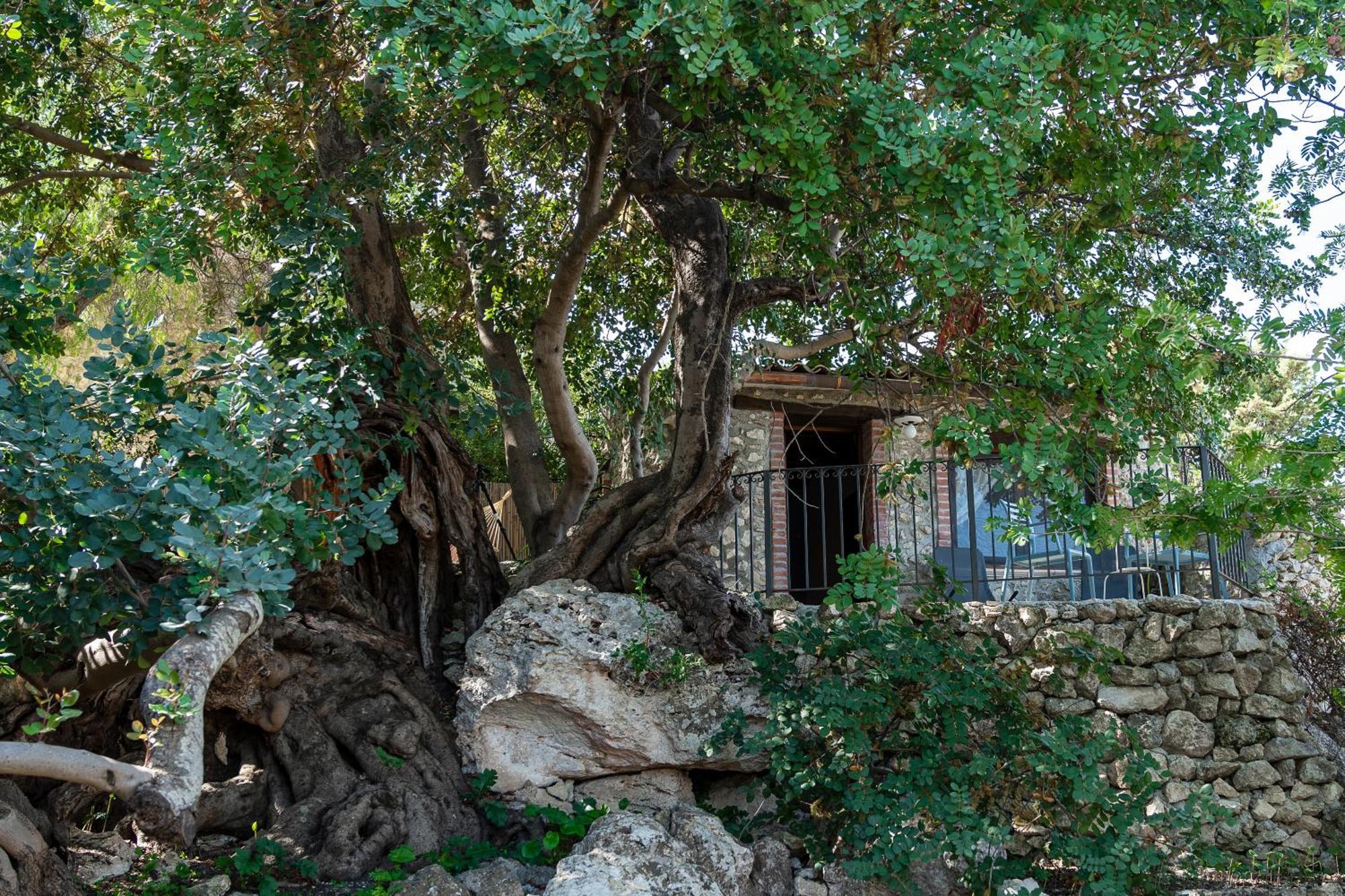 Roba Degli Ulivi Bed & Breakfast Agrigento Exterior photo